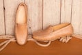 Men's Loafer Shoe Royalty Free Stock Photo