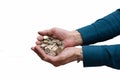 Men's palm with a large circular heap of coins of different denominations