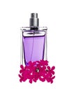 Men's perfume in beautiful bottle and violet flower isolated Royalty Free Stock Photo