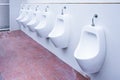 Men`s room urinals discharge of waste from the body Royalty Free Stock Photo