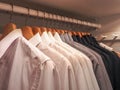 Men`s shirts in the closet Royalty Free Stock Photo