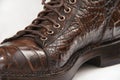 Men's shoes made from crocodile leather laces Royalty Free Stock Photo