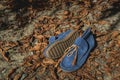 men's shoes moccasins blue color on a orange autumn fallen leaves