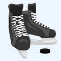 Men`s skates for hockey and ice skating.