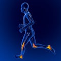 Men's skeleton race, pain, inflammation knee hip ankle Royalty Free Stock Photo