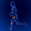Men's skeleton race, pain, inflammation knee hip ankle Royalty Free Stock Photo