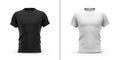 Men`s t shirt with round neck and raglan sleeves.