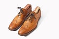 Men's Tan Brogue Shoes Royalty Free Stock Photo