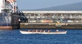 Whaleboat rowing in port of Horta, Faial Island Royalty Free Stock Photo