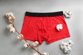 Men`s underwear and cotton flowers on light background Royalty Free Stock Photo
