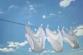 Men's underwear hanging on clothesline