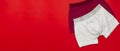 Men`s underwear, red burgundy and gray underpants on red background flat lay top view copy space. Fashion blog, natural underwear Royalty Free Stock Photo