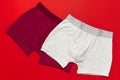 Men`s underwear, red burgundy and gray underpants on red background flat lay top view copy space. Fashion blog, natural underwear Royalty Free Stock Photo