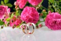 Men's and women's wedding rings and roses on background. Royalty Free Stock Photo