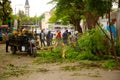 men sawing a large tree in the center of Arusha, Tanzania