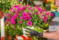 Men Selling Flowers