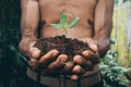 Plant in hands