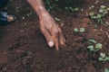 Sowing seed Royalty Free Stock Photo