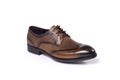 men shoe isolated, laced, brown, leather.
