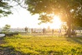 Men silhouettes play football in the park at sunrise