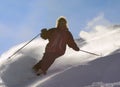 Men on ski Royalty Free Stock Photo