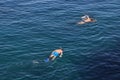 Men snorkeling in the sea Royalty Free Stock Photo