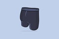 Men Sports Underwear vector illustration. Sports and fashion objects icon concept. Men ÃÂolored boxer shorts vector design with