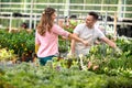 Men surrounded by plant in greenhouse Royalty Free Stock Photo