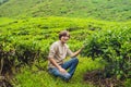 Men tourist at a tea plantation. Natural selected, Fresh tea leaves in tea farm in Cameron Highlands, Malaysia Royalty Free Stock Photo