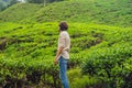 Men tourist at a tea plantation. Natural selected, Fresh tea leaves in tea farm in Cameron Highlands, Malaysia Royalty Free Stock Photo