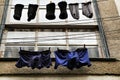 Men underwear hanging on a clothesline Royalty Free Stock Photo