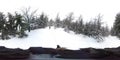 Men Walking in deep winter forest - 360 Virtual Reality First Person View