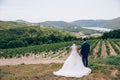 A man and a woman admire the beauty of nature, hold hands tightly and make plans for the future. Wedding walk in nature. Royalty Free Stock Photo