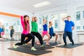 Men and women in gym doing pilates workout Royalty Free Stock Photo