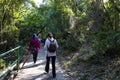 Men and women hiking along trails in forest in Sai Kung, Hong Kong