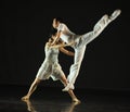 Men and women of modern dance Royalty Free Stock Photo