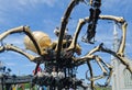 Men and Women operating a Giant Spider Kumo in Ottawa