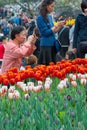 People watching tulips in Hangzhou