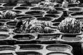 Chouara Tannery in Morocco, with round stone vessels for dyeing and softening leather in Fez el Bali Royalty Free Stock Photo