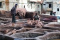 Men working hard in the tannery souk in Fez, Morocco Royalty Free Stock Photo