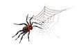 Black Widow Spider on its Web, vector design Generative AI Royalty Free Stock Photo