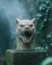 Menacing stone wolf statue in misty forest Royalty Free Stock Photo