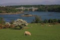 Menai Bridge Royalty Free Stock Photo