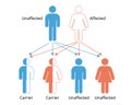 Mendelian genetics, the three possible genetic conditions for a trait inherited in a recessive manner