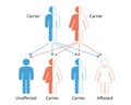 Mendelian genetics, the three possible genetic conditions for a trait inherited in a recessive manner