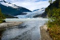 Mendenhall Glacier