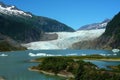 Mendenhall Glacier Royalty Free Stock Photo