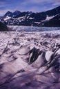 Mendenhall Glacier