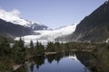 Mendenhall glacier Alaska 2007 horizontal Royalty Free Stock Photo