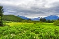 Juneau Alaska distant view of Mendenhall Glacier Royalty Free Stock Photo